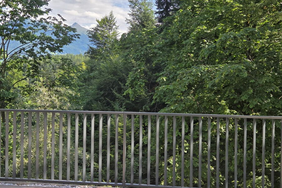 Waldsicht am Karwendelgebirge