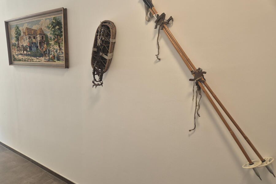 Waldsicht am Karwendelgebirge