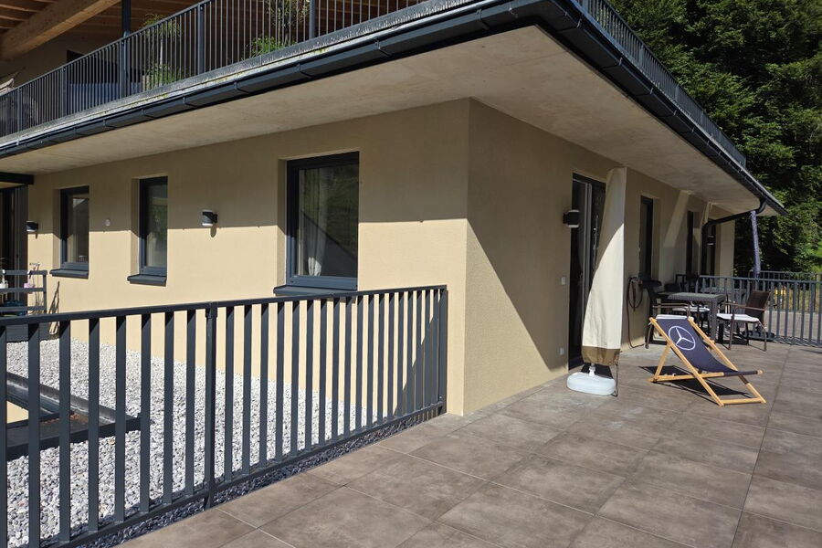 Waldsicht am Karwendelgebirge